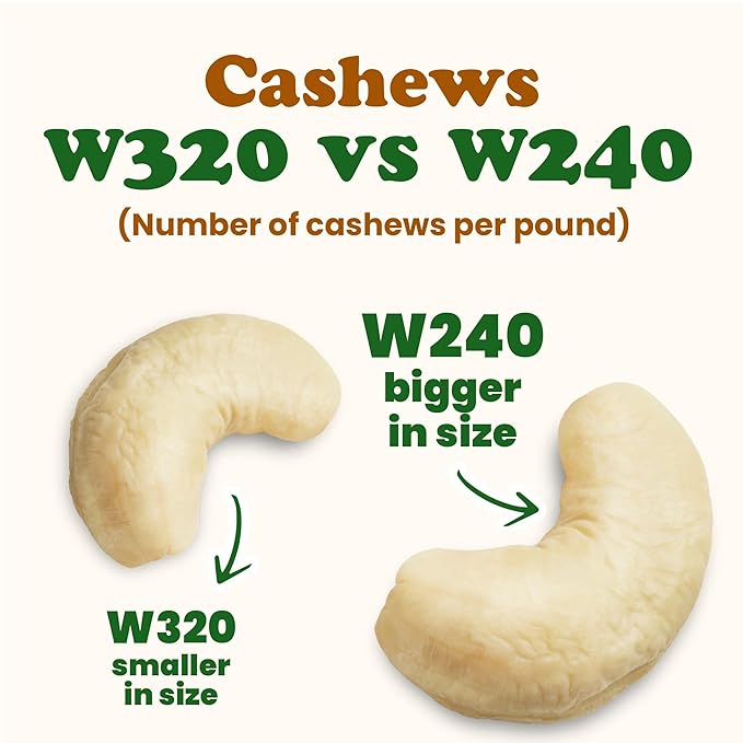 Food to Live Organic Cashews, 1 Pound ??Whole, Size W-240, Unsalted, Non-GMO, Kosher, Raw, Vegan