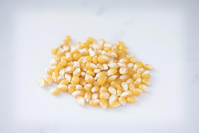 Amish Country Popcorn | 25 lb Bag | Medium Yellow Popcorn Kernels | Old Fashioned, Non-GMO and