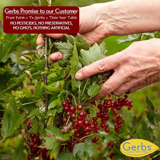 Gerbs Dried Zante Currants 4 lbs. | Unsulfured, No Additives, Resealable Bag | Naturally Bold &