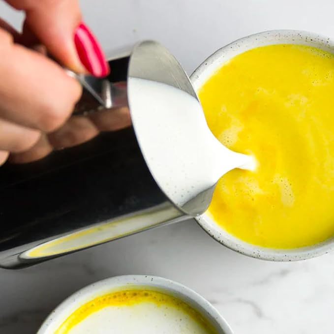 Rishi Tea Turmeric Ginger Chai Latte - Organic Herbal Tea Concentrate with Ayurvedic Ginger