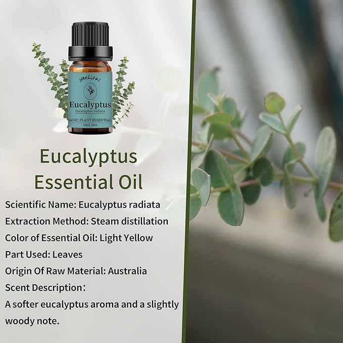 yethious Eucalyptus Essential Oils for Diffuser & Aromatherapy Pure Eucalyptus Oil for Skin, Hair
