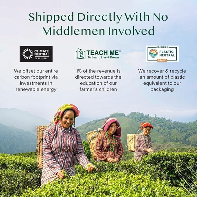 VAHDAM, Assorted Green Tea Bags Sampler (5 Flavors, 20 Ecofriendly Pyramid Tea bags) I Gift Ideas