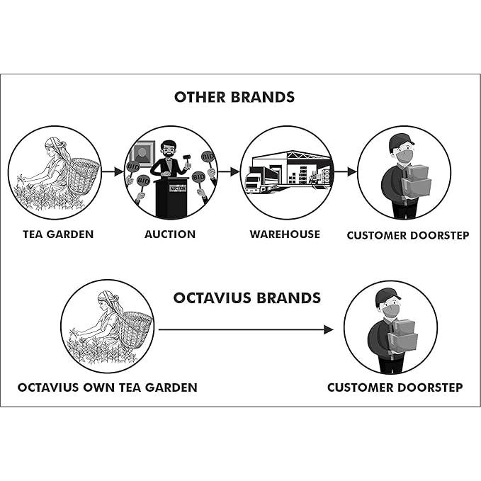 Octavius Gift's Select - Assorted Tea in Wooden Box | 6 Flavors, 120 Tea Bags | Black & Green | Tea