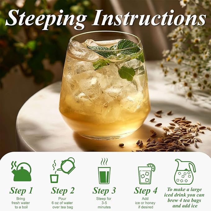 WT WEETEE Fennel Tea Bags 100 Count, 100% Natural & Pure Fennel Seeds Tea, Smooth & Sweet, No