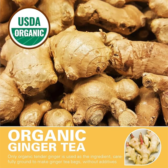 WT WEETEE Organic Ginger Tea Bags, 100% Pure Ginger Root Tea 100 Count, Caffeine Free, No Spices