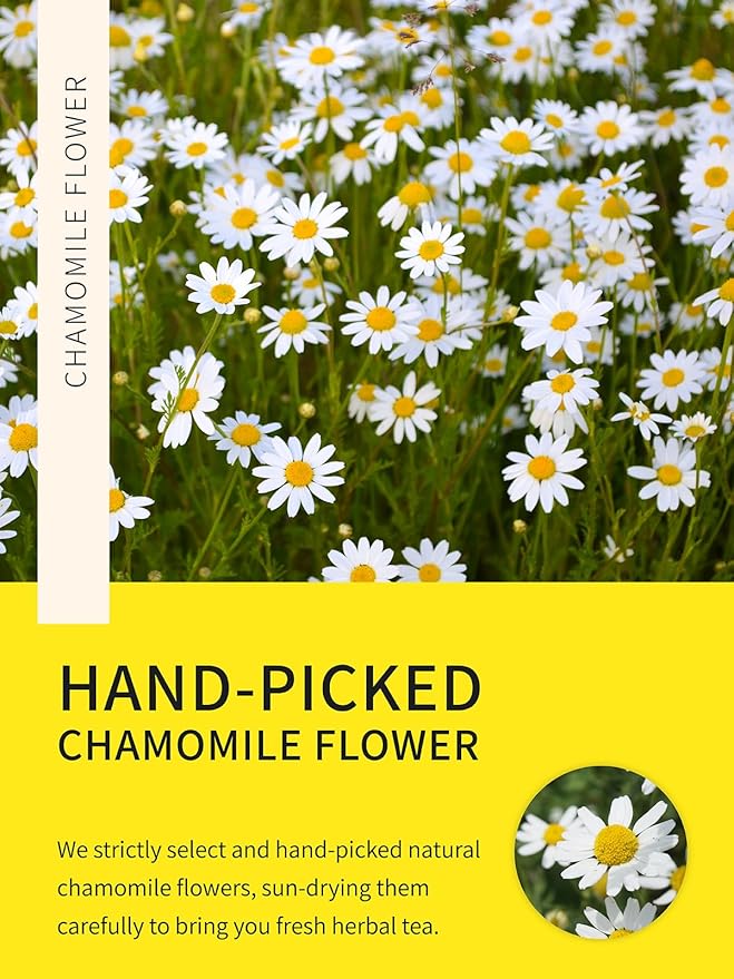 TeeLux Chamomile Tea Bags, 1.5g/bag, Pure Natural Chamomile Flowers Herbal Tea, Caffeine Free, 100