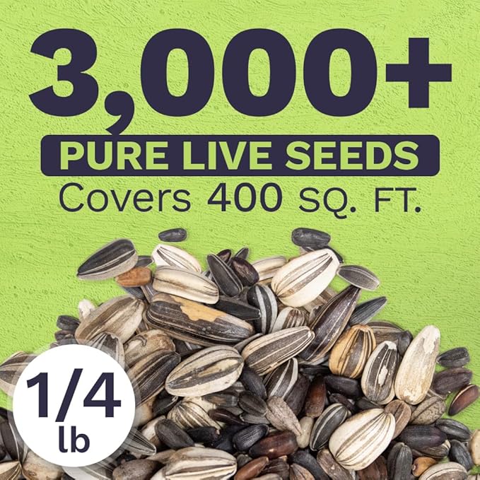 Bulk Sunflower Seeds - Variety Mix 10 Types of Beautiful Sunflowers - 1/4 Pound Bag Open Pollinated