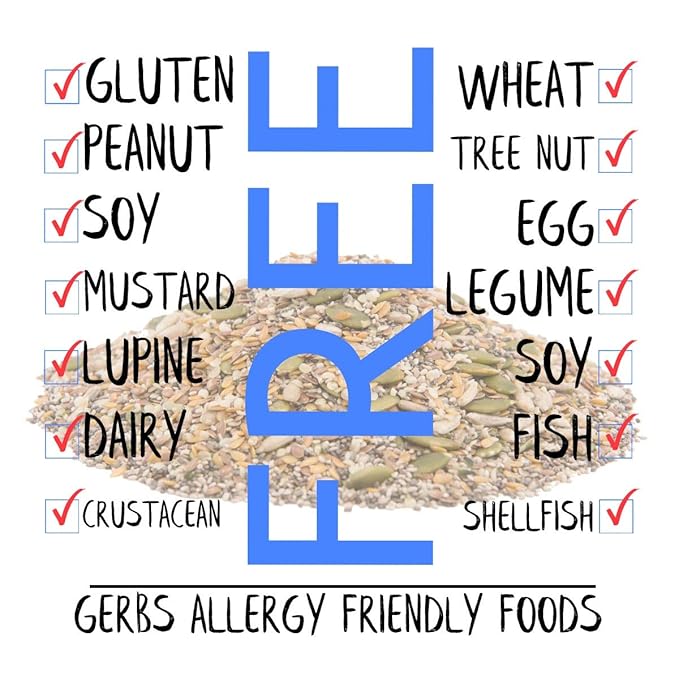 GERBS Raw Super 7 Seed Snack Trail Mix 2 LBS. | Top 14 Food Allergy Free | Resealable Bulk Bag |