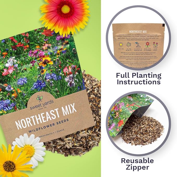 Northeast Wildflower Seeds - Extra Large 1 Ounce Packet - Over 7,500 Native Seeds - Open Pollinated