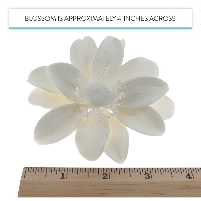 Global Sugar Art Double Anemone Sugar Cake Flowers White, 3 Count by Chef Alan Tetreault