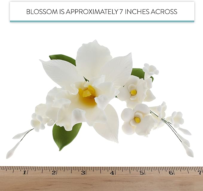 Global Sugar Art Cattleya Orchid Sugar Cake Flowers Arched Spray, White, 1 Count by Chef Alan