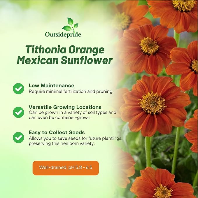 Outsidepride Goldfinger Mexican Sunflower Seeds - 500 Pcs Annual, Easy-to-Grow, Orange Tithonia