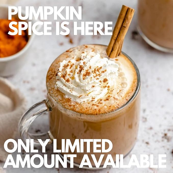 Sarasota Coffee Ground Packets | Gourmet Flavored Medium Roast Bulk Coffee Packs | Pumpkin Spice |