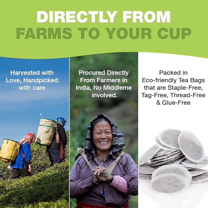 HANDPICK, Green Tea Bags - 100 Eco-Friendly Tea Bags | Resealable Pack for Freshness | Delicate &