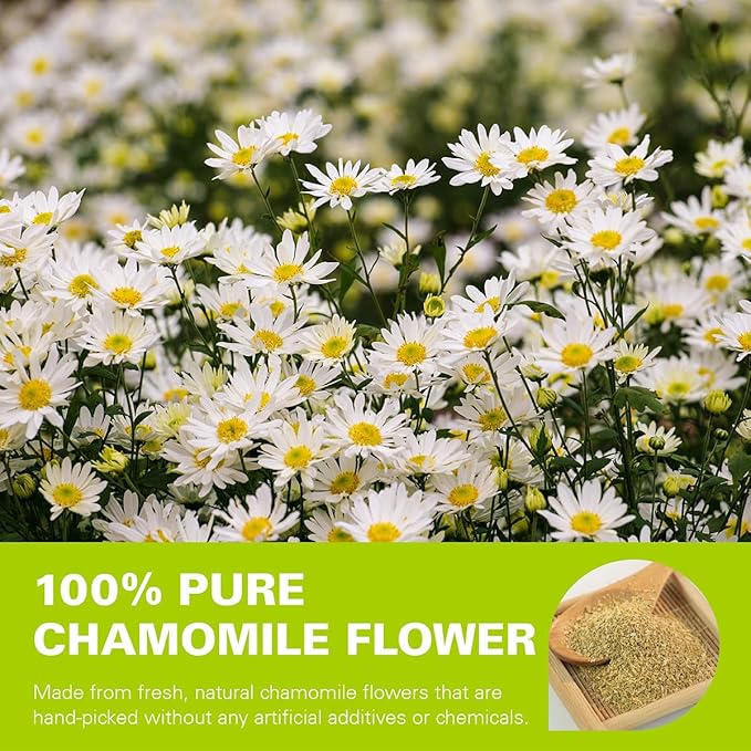 WT WEETEE Chamomile Tea bags, Made with 100% Pure Chamomile Flowers, Natural Caffeine-free Herbal