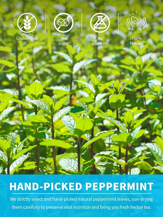 TeeLux Peppermint Tea Bags, Natural Peppermint Herbal Tea, Refreshing & Soothing Mint Tea, Caffeine