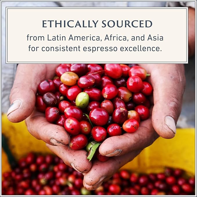 Filicori Zecchini Italian Espresso Beans ??Whole Bean Coffee Medium Roast Arabica & Robusta Blend
