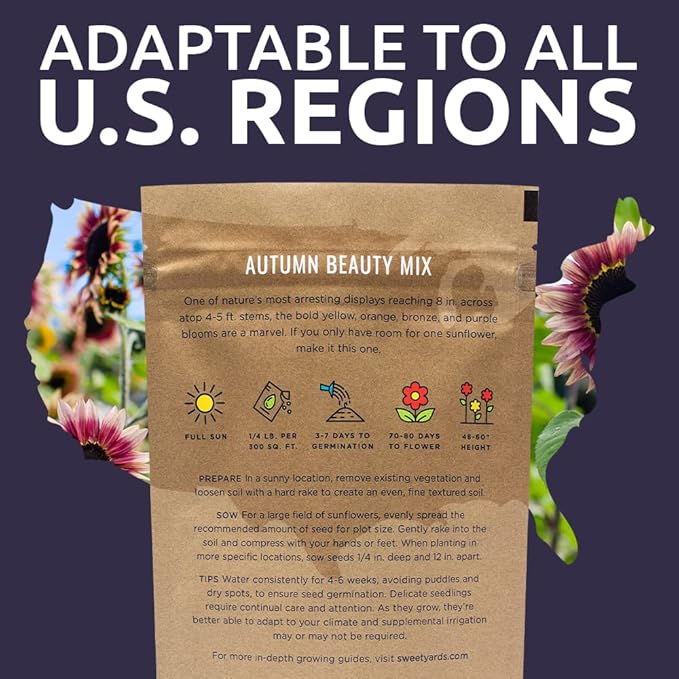 Autumn Beauty Sunflower Seeds – Bulk 1/4 Pound Bag – Over 5,000 Open Pollinated Non-GMO Wildflower