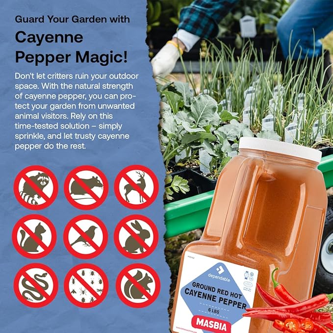 Dependable Food Ground Red Pepper | 6 Lb. Jar | 40,000 SHU Heat | Bulk, Kosher Cayenne Pepper