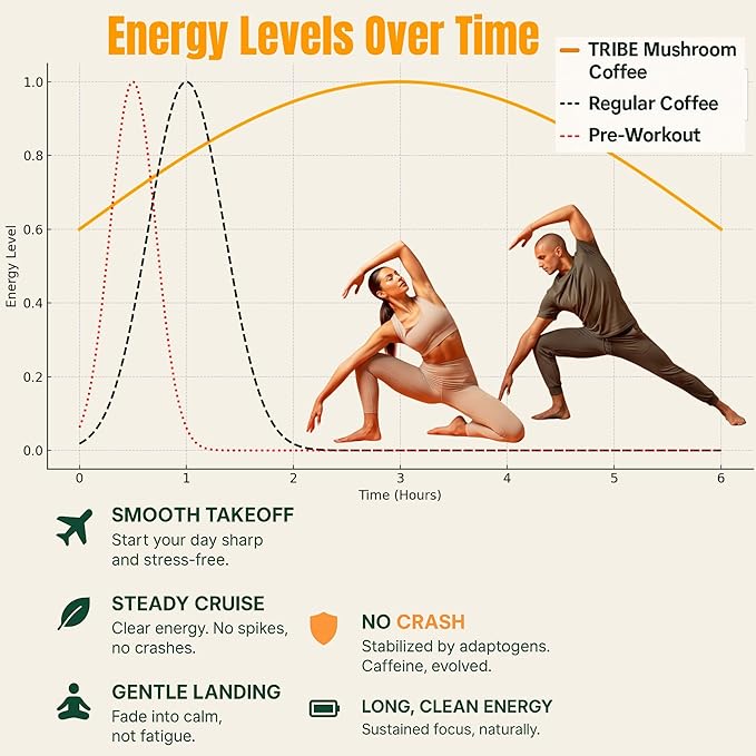 TRIBE 6 Mushroom Coffee + MCT Oil, Creamy Instant Barista Blend - Clean Daily Energy, Focus, Immune