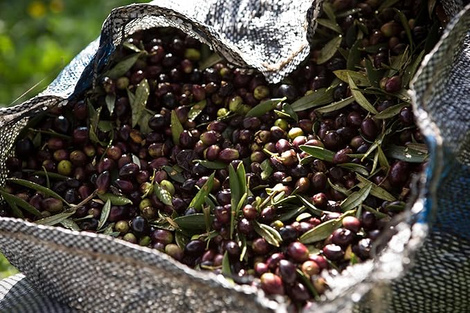 Threpsi Organic Extra Virgin Olive Oil | Extracted Cold | 100% Koroneiki Olives | Grown by Small