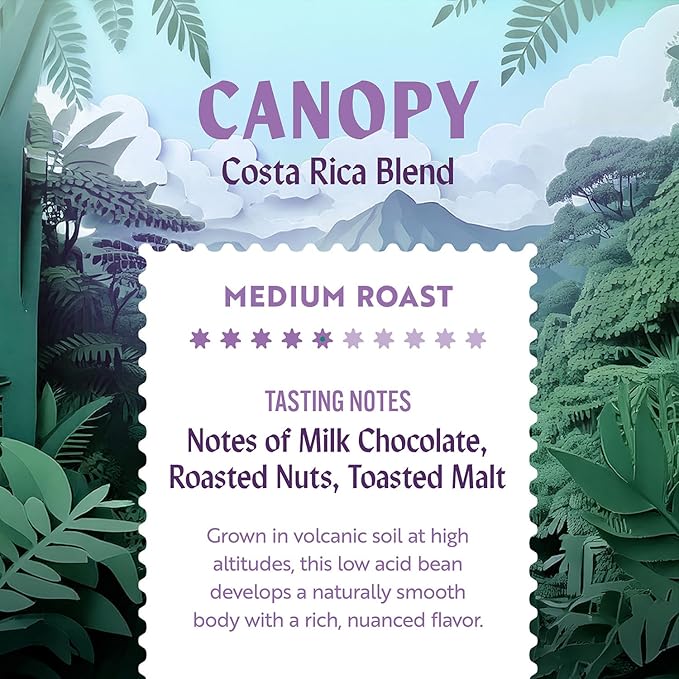 Clean Coffee Co. - Low Acid Medium Roast, Tested for Molds and Toxins, Costa Rica Blend, Notes of