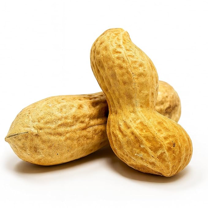 Sky | Premium USA Grown, Raw Peanuts in Shell for Squirrels, 2.5lb | Jumbo Unsalted Peanuts in The