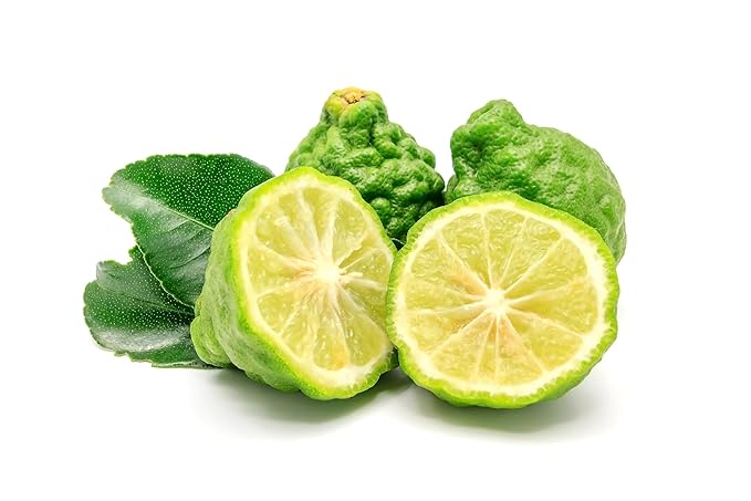 US Organic 100% Pure Bergamot Essential Oil, USDA Certified Organic, Cold Pressed, with Euro