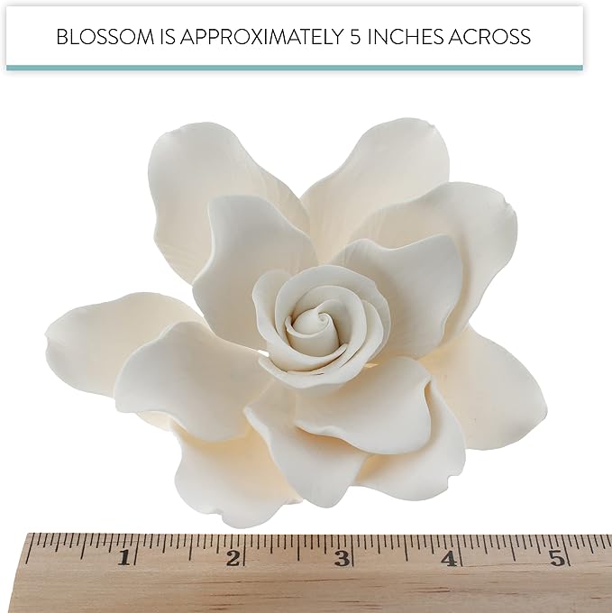 Global Sugar Art Gardenia Sugar Cake Flowers Jumbo White with Wire, 1 Count by Chef Alan Tetreault