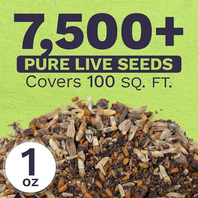 Northeast Wildflower Seeds - Extra Large 1 Ounce Packet - Over 7,500 Native Seeds - Open Pollinated