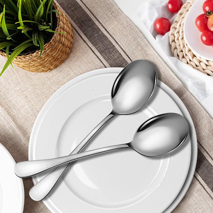 Stainless Steel Serving Spoons Set, 6pc, 10-Inch, Includes 6 Large Spoons, for