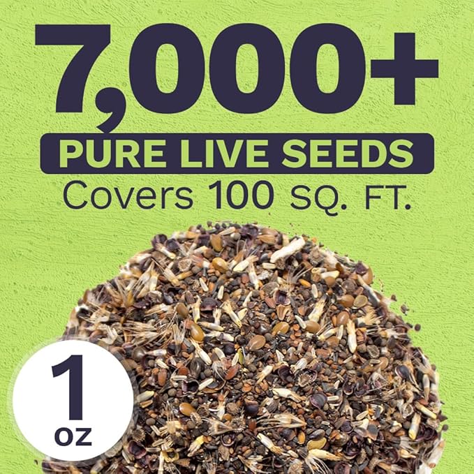 California Wildflower Mixture - Bulk 1 Ounce Packet - Over 7,000 Native Seeds - Open Pollinated and