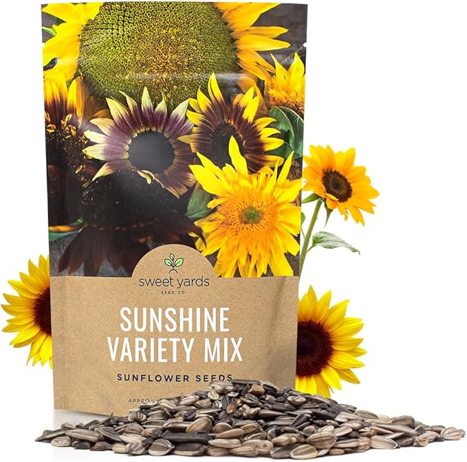 Bulk Sunflower Seeds - Variety Mix 10 Types of Beautiful Sunflowers - 1/4 Pound Bag Open Pollinated