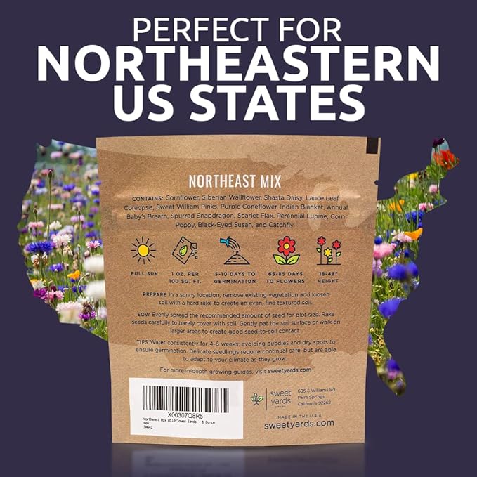 Northeast Wildflower Seeds - Extra Large 1 Ounce Packet - Over 7,500 Native Seeds - Open Pollinated