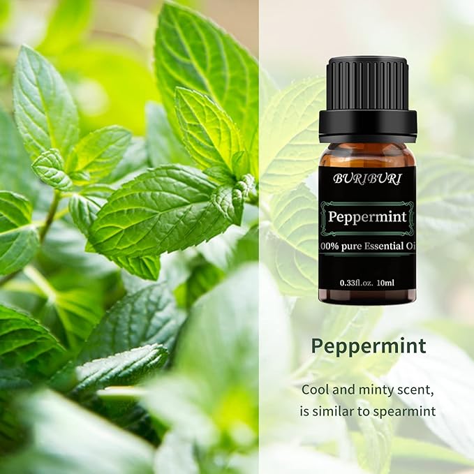 BURIBURI Peppermint Essential Oil 100% Pure, Undiluted, Natural, Organic Aromatherapy Mint