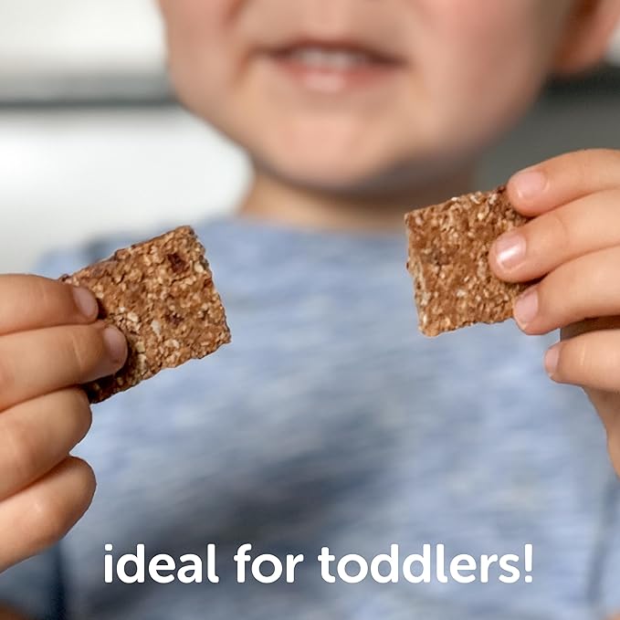 Beech-Nut Toddler Snacks Oaty Bars Granola Bars for Babies & Toddlers, Fruit & Whole Grain