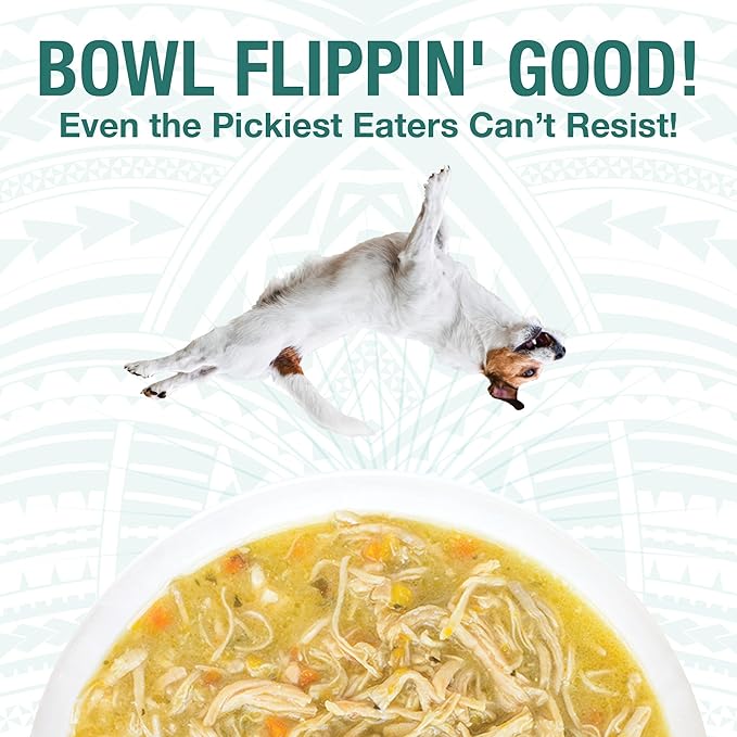 KOHA Pure Shreds Dog Variety Pack, High Protein Wet Dog Food- 5 Flavors - Beef, Duck, Chicken &