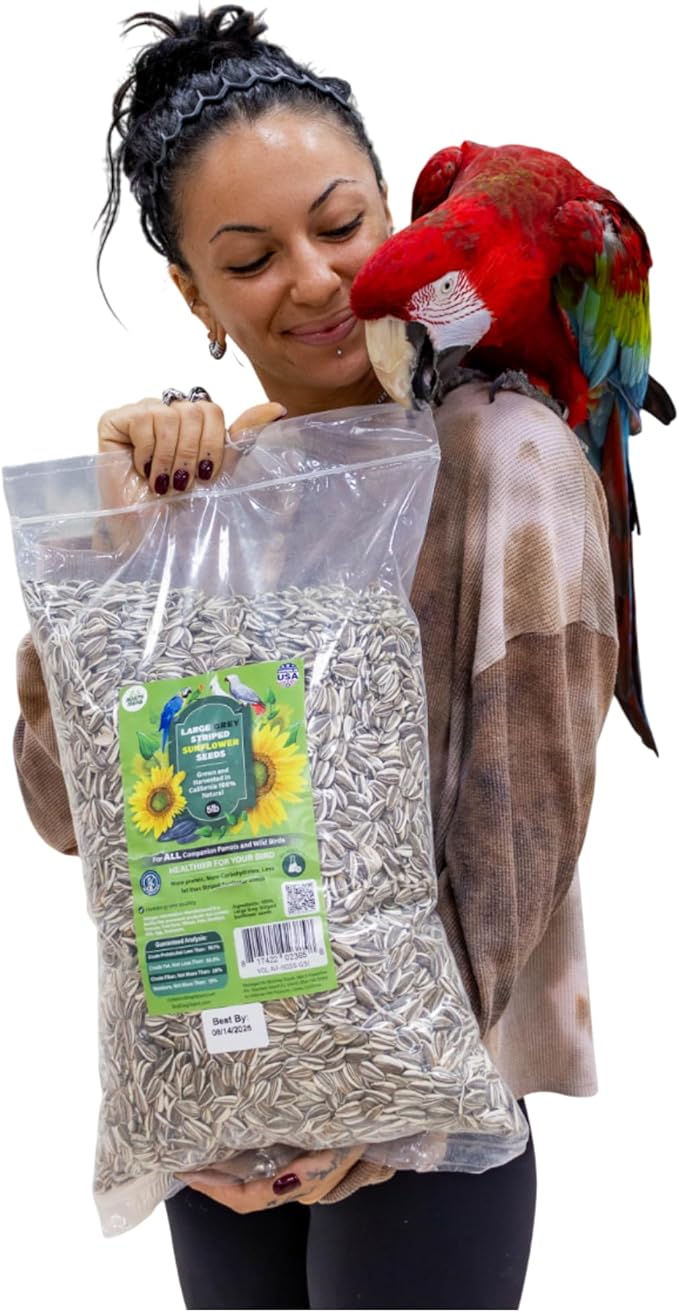 5 Lb Bag | Premium Striped Sunflower Seeds for Birds - Natural Sunflower Seeds Bird Food | Non-GMO