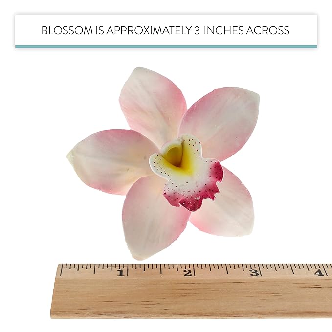 Global Sugar Art Cymbidium Orchid Sugar Cake Flowers, Pink, 3 Count by Chef Alan Tetreault