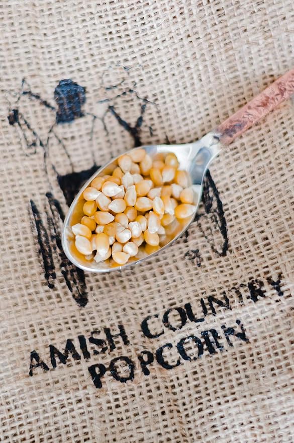 Amish Country Popcorn | 14 oz Bottle | Baby Yellow Popcorn Kernels | Old Fashioned, Non-GMO and