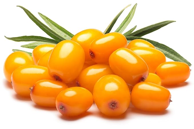 US Organic Sea Buckthorn Berry (Fruit) Oil, Supercritical CO2 extracted, USDA Certified