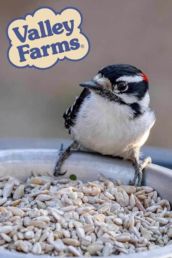 Valley Farms Whole Sunflower Hearts for Birds (15 LB) Clean Shelled Sunflower Seeds, No Mess Wild