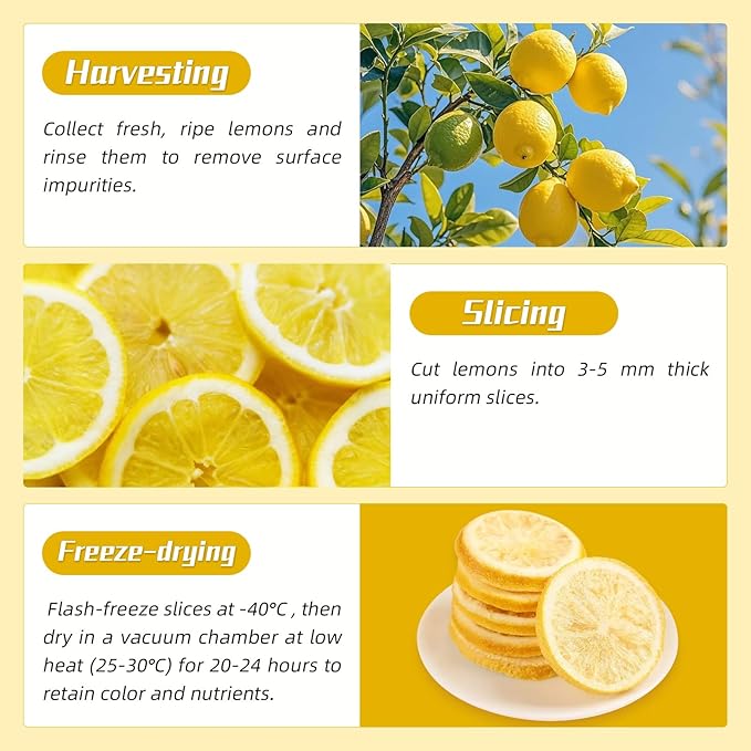 Haomly Freeze Dried Lemon Slices -90g/3.17oz -100% Natural Dehydrated Lemons-Dehydrated Fruit