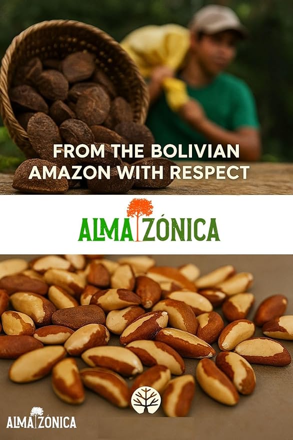 ALMA ZÓNICA – Raw unsalted premium Brazil Nuts, 1 pound (16oz) | Unsalted, Gluten-Free, Kosher |