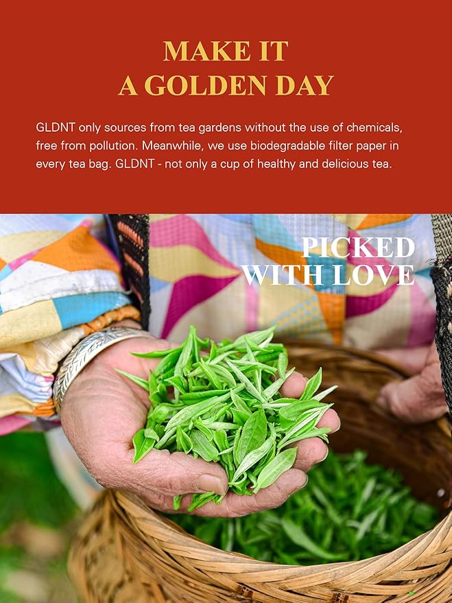 GLDNT Organic Pu-erh Tea Bags, Fermented Yunnan Dark Tea, Bold & Mellow Flavor, Caffeinated, 100