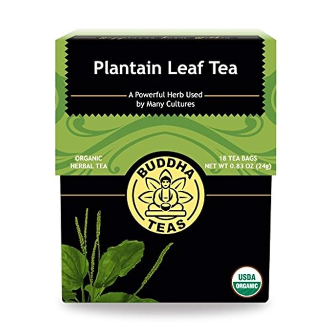 Buddha Teas - Plantain Leaf Tea - Herbal Tea - Promotes Digestive & Respiratory Health - Clean