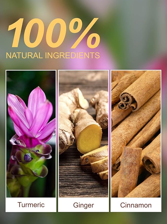 TeeLux Turmeric Ginger Cinnamon Tea, Natural Turmeric Herbal Tea with Ginger and Cinnamon, Spicy &