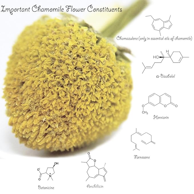 Chamomile Tea 1LB (16Oz) 100% CERTIFIED Organic (USDA seal) Chamomile Flowers Herbal Tea