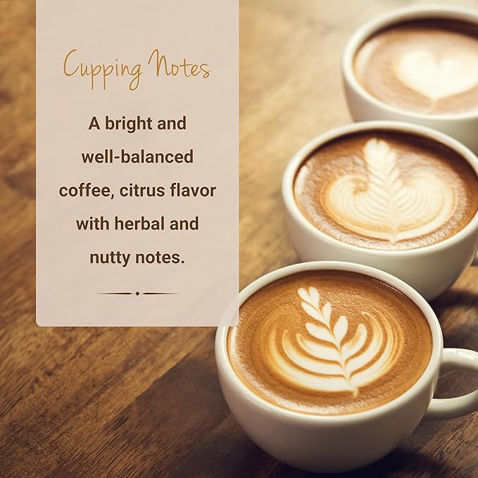 Nicaraguan Coffee, Single Serve Coffee Pods, Premium Nicaragua Segovia Single Origin Fresh Roasted