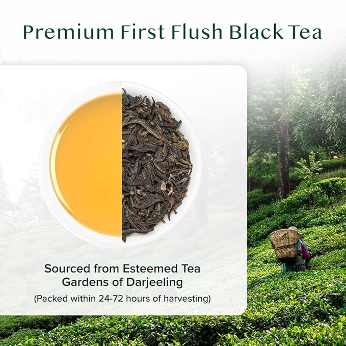 VAHDAM, First Flush Darjeeling Tea - 50 Cups (3.53oz) | Loose Leaf Black Tea - Flowery, Aromatic &